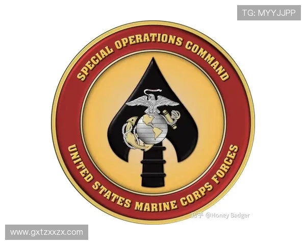 武汉网球队防反战术解析与实战应用探讨